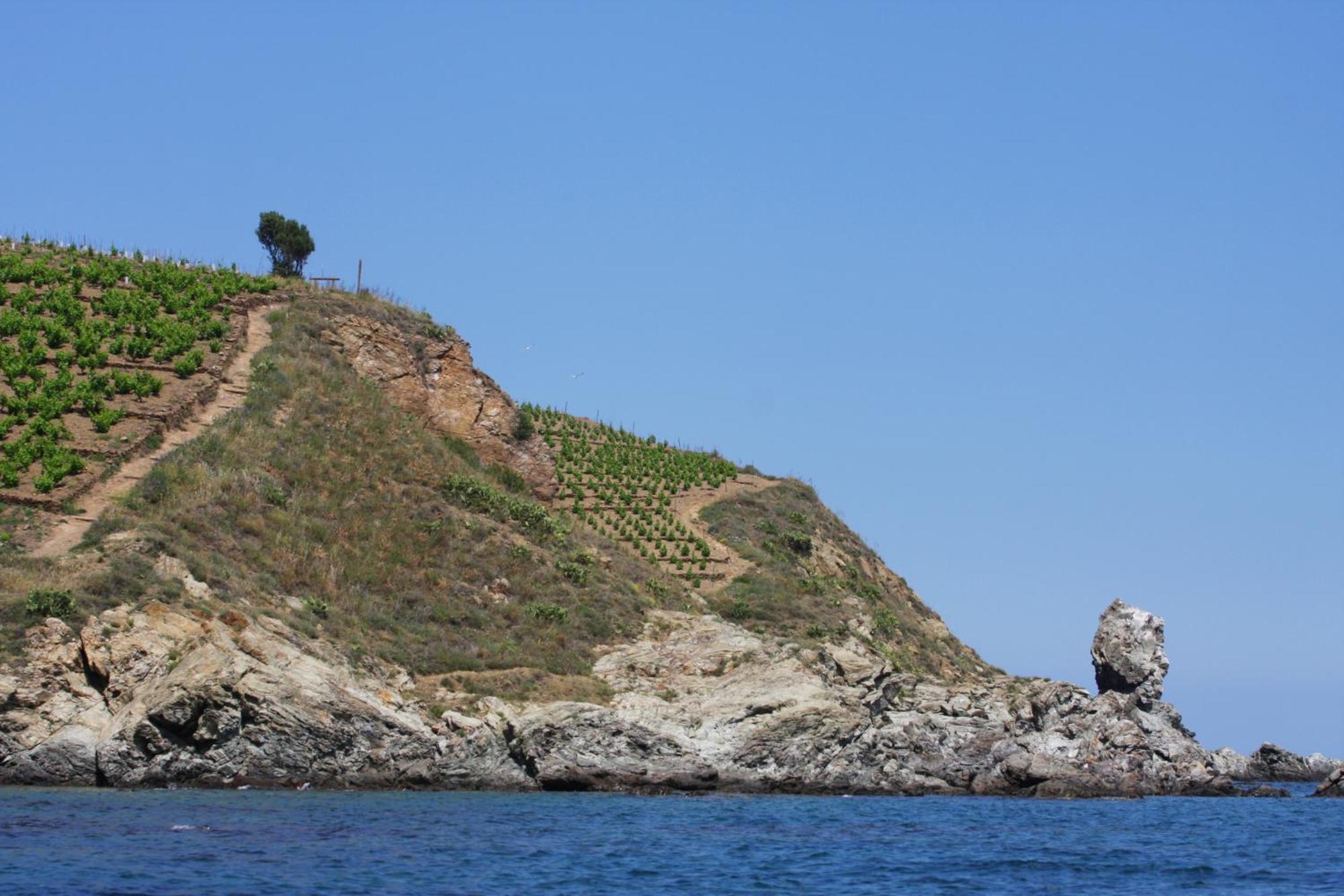 Logis Hotel Solhotel Banyuls-sur-Mer Exterior foto